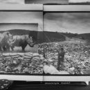Nick Brandt LOOK3 2016 Artist Talk