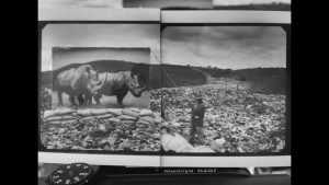 Nick Brandt LOOK3 2016 Artist Talk