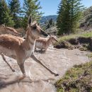 Joe Riis – LOOK3 2016 Artist Talk