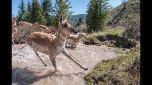 Joe Riis – LOOK3 2016 Artist Talk