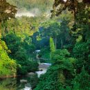 Frans Lanting – LOOK3 2016 Artist Talk