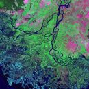 Feeding Your Beasts: Distribution in Social and Digital Media Platforms – David Patton – Collaborations for Cause 2016