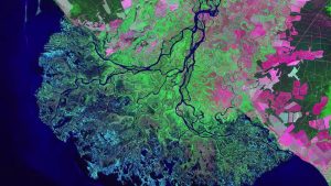 Feeding Your Beasts: Distribution in Social and Digital Media Platforms – David Patton – Collaborations for Cause 2016