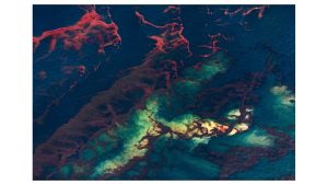 Daniel Beltrá – Changing Perspectives