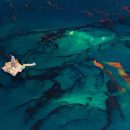 Daniel Beltra – Collaborations for Cause 2016