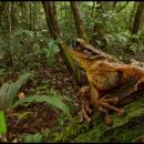 Piotr Naskreki Artist Talk Highlights – LOOK3 2015