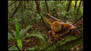 Piotr Naskreki Artist Talk Highlights – LOOK3 2015