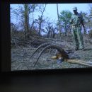 Piotr Naskrecki Artist Talk – LOOK3 2015