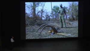 Piotr Naskrecki Artist Talk – LOOK3 2015