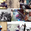 Peter DiCampo: Everyday Perspectives