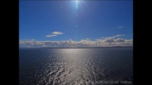 Panel – Focus on Science: The Ocean Acidification Story