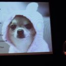 NonProfits and Social Media: Good to Great – Collaborations for Cause 2012