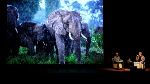 LOOK3 2013 – Michael Nick Nichols