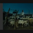 Photo Stories from the Square Mile Initiative