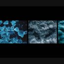 Visual Storytelling Techniques with Acacia Johnson