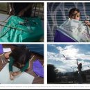 Photo Stories Documenting Abuse