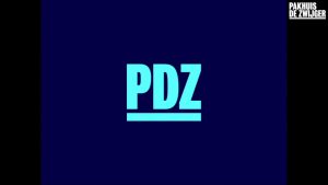 Documenting the Danger to Democracy