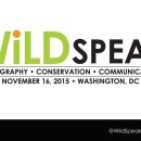 Protecting the Orangutans of Borneo – Tim Laman – WildSpeak Presentation 2016