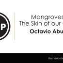 Mangroves The Skin of our Coasts – Octavio Aburto – WildSpeak Presentation 2016
