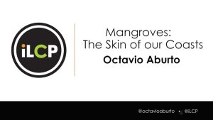 Mangroves The Skin of our Coasts – Octavio Aburto – WildSpeak Presentation 2016