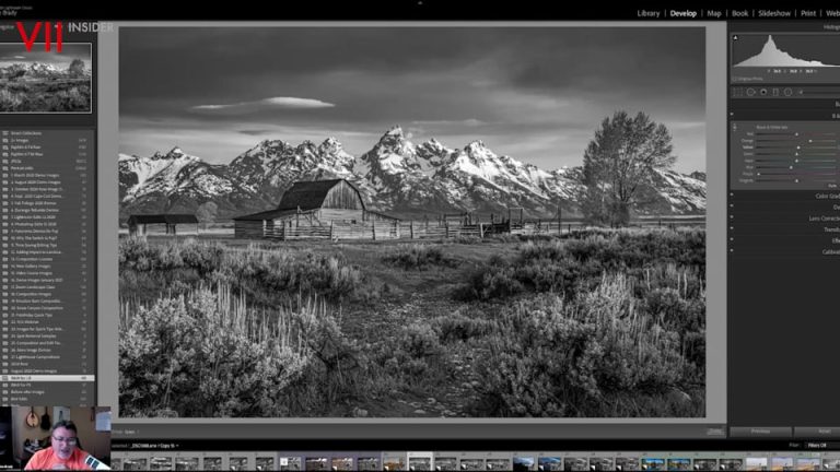 Digital Silver Imaging Technical Webinar Series B&W Workflow