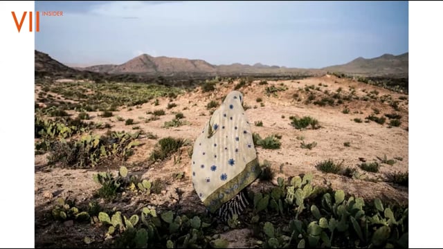 Creating Impact New Visual Perspectives on the Climate Crisis