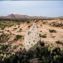 Creating Impact New Visual Perspectives on the Climate Crisis