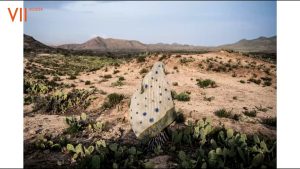 Creating Impact New Visual Perspectives on the Climate Crisis