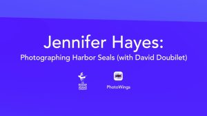 Jennifer Hayes: Photographing Harbor Seals (with David Doubilet)