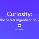 Curiosity Compilation Pt. 2 [V2]