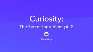Curiosity Compilation Pt. 2 [V2]