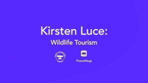 Kirsten Luce: Wildlife Tourism