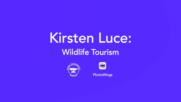 Kirsten Luce: Wildlife Tourism
