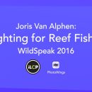 Joris Van Alphen – Fighting for Reef Fishes | WildSpeak Presentation 2016