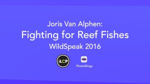 Joris Van Alphen - Fighting for Reef Fishes | WildSpeak Presentation 2016