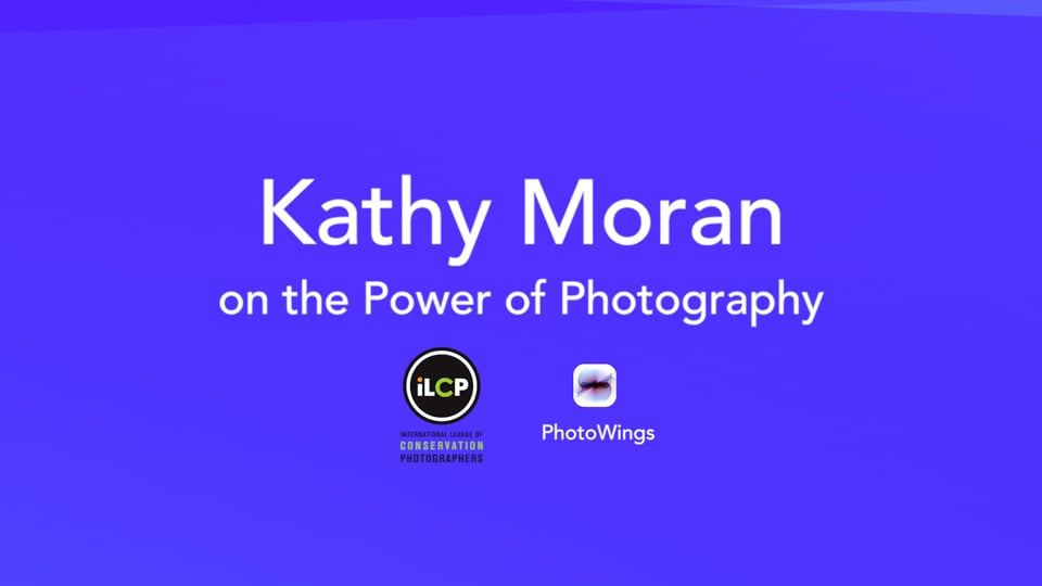 Kathy Moran on The Power of Photography