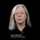 Lynn Johnson Breaking The Glass Ceiling IG Story