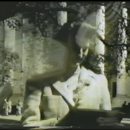Suzie Reel Digitization