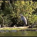 Columbus Buckeye Lake, JCL, Mimi, Dot, Harriet’s