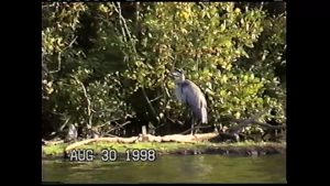 Columbus Buckeye Lake, JCL, Mimi, Dot, Harriet’s