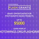 Flash Grant Graphic