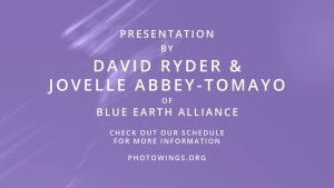 Photoville Presentation – David Jouvelle
