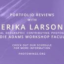 Photoville Portfolio Review- Erika Larson
