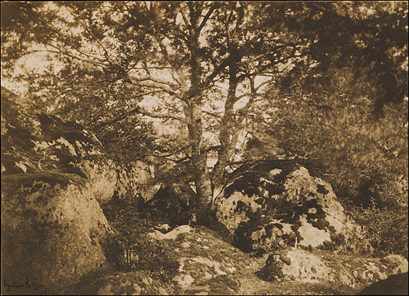 Gustave Le Gray (French, 1820–1884) [Oak Tree and Rocks, Forest of Fontainebleau], 1849–52 Salted paper print from paper negative, 25.2 x 35.7 cm (9 15/16 x 14 1/16 in.) The Metropolitan Museum of Art, Purchase, Jennifer and Joseph Duke and Lila Acheson Wallace Gifts, 2000 (2000.13) Image © The Metropolitan Museum of Art, New York